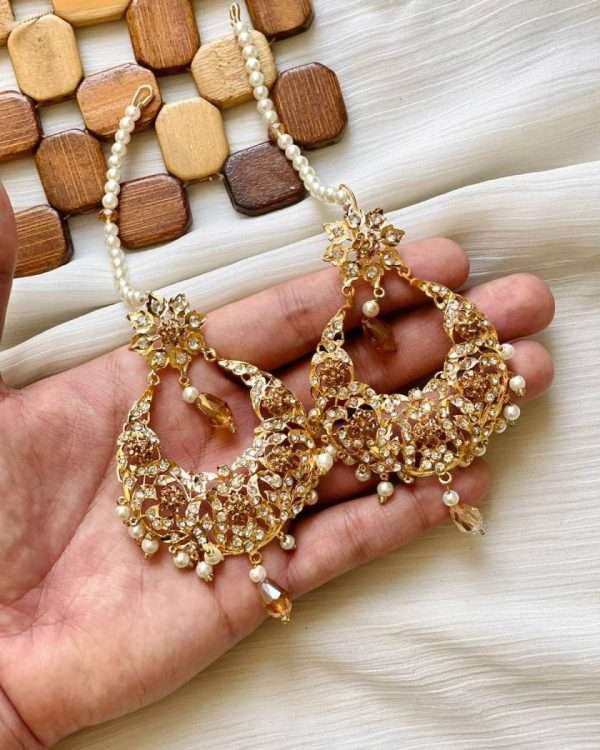 Elegant & Stylish Earrings